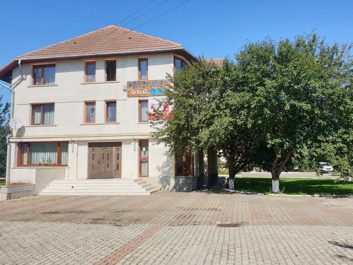 Pensiunea Odn Шкея Экстерьер фото
